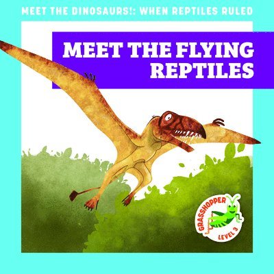 Meet the Flying Reptiles 1