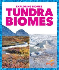 bokomslag Tundra Biomes