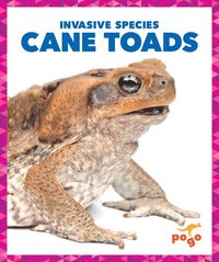 bokomslag Cane Toads