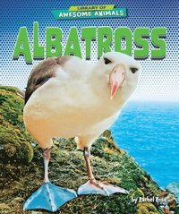 bokomslag Albatross