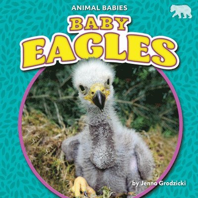 Jenna Grodzicki - Baby Eagles, Inbunden