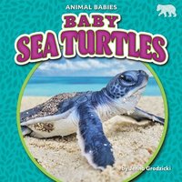 bokomslag Baby Sea Turtles