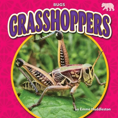 Emma Huddleston - Grasshoppers, Inbunden