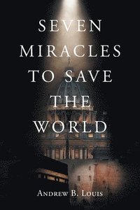 bokomslag Seven Miracles to Save the World