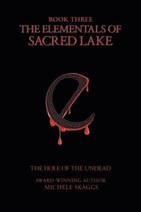 bokomslag Elementals of Sacred Lake