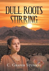 bokomslag Dull Roots Stirring