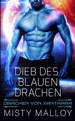 Misty Malloy - Dieb des blauen Drachen, Häftad