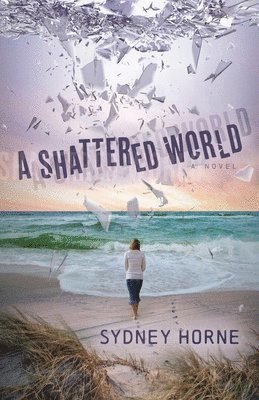 A Shattered World 1