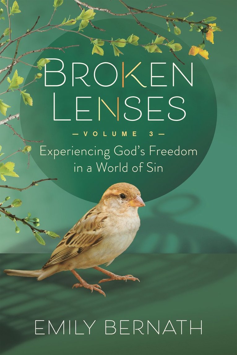 Emily Bernath - Broken Lenses, Volume 3, Häftad