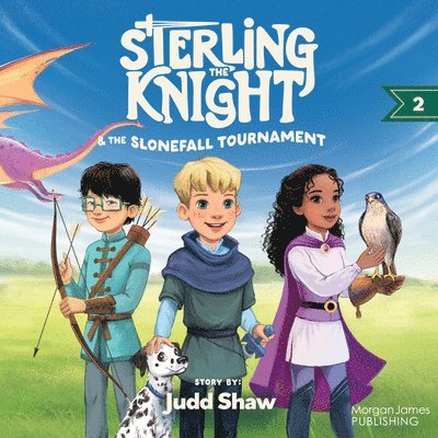 Sterling the Knight and the Slonefall Tournament 1