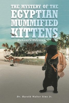 The Mystery of the Egyptian Mummified Kittens 1