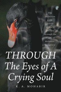 bokomslag THROUGH The Eyes of A Crying Soul