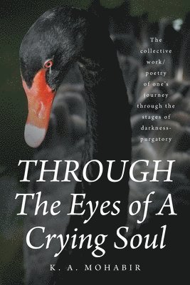 bokomslag THROUGH The Eyes of A Crying Soul