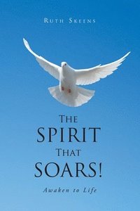 bokomslag Spirit that Soars