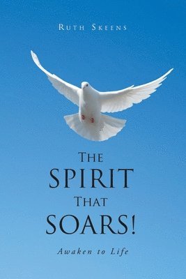 Spirit that Soars 1
