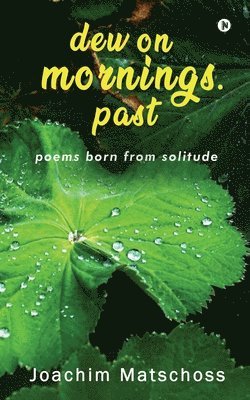 bokomslag dew on mornings. past: poems born from solitude