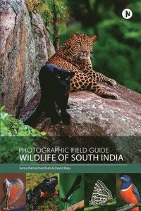 bokomslag Photographic Field Guidewildlife of South India