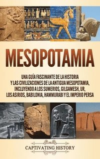 bokomslag Mesopotamia