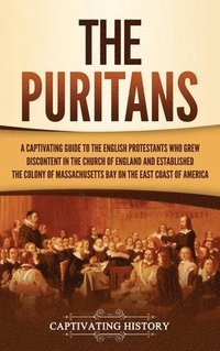 bokomslag Puritans