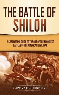 bokomslag Battle of Shiloh