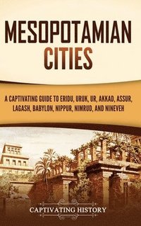 bokomslag Mesopotamian Cities