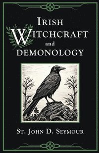 bokomslag Irish Witchcraft and Demonology