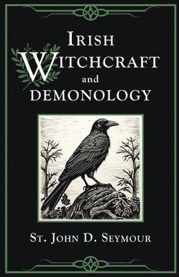 bokomslag Irish Witchcraft and Demonology