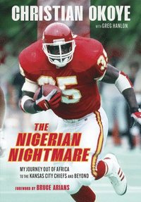 bokomslag The Nigerian Nightmare