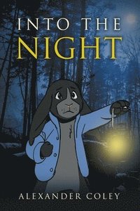 bokomslag Into the Night