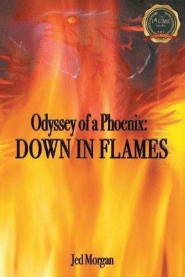 bokomslag Odyssey of a Phoenix