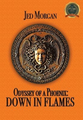 bokomslag Odyssey of a Phoenix