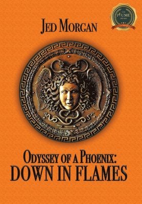 Odyssey of a Phoenix 1