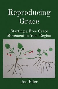 bokomslag Reproducing Grace