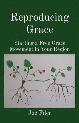 bokomslag Reproducing Grace