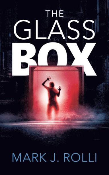 Mary Walsh, Jennifer Hurley - The Glass Box, Häftad