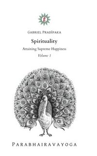 bokomslag Spirituality - Volume 1