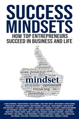 bokomslag Success Mindsets