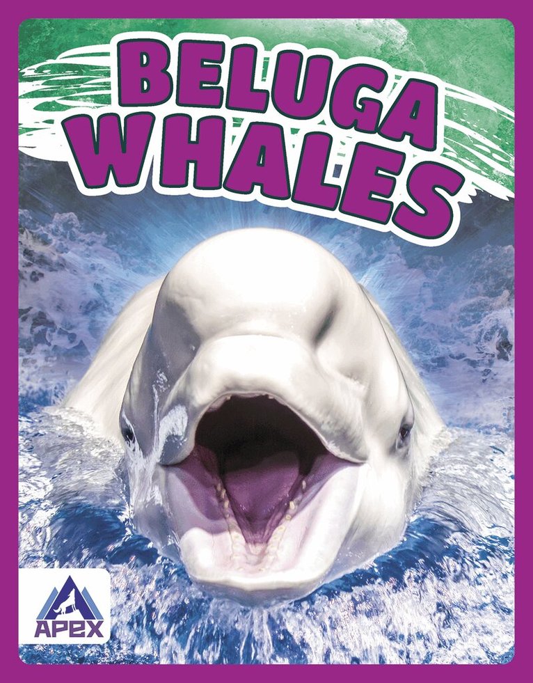 Angela Lim - Beluga Whales, Inbunden