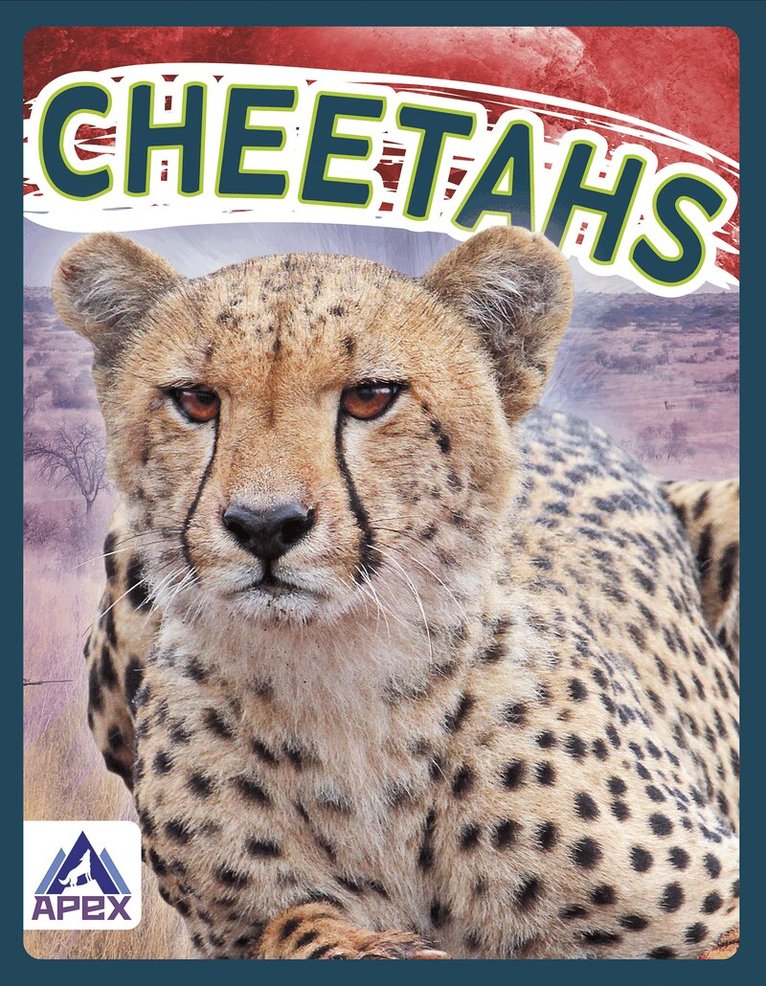Sophie Geister-Jones - Cheetahs, Inbunden