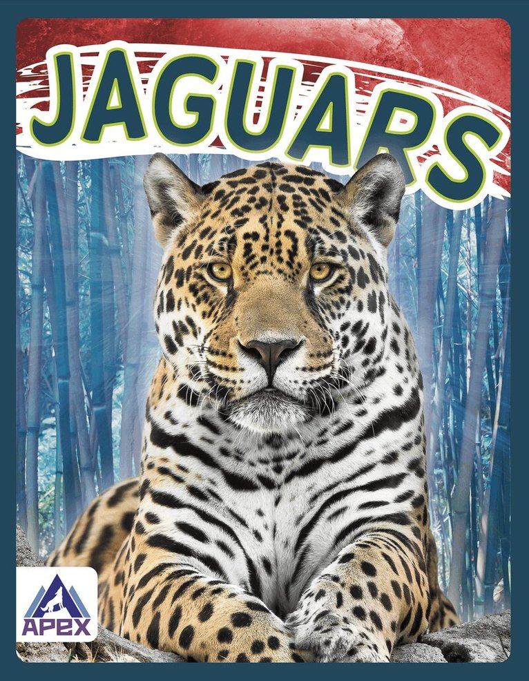 Sophie Geister-Jones - Jaguars, Inbunden