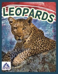 bokomslag Wild Cats: Leopards