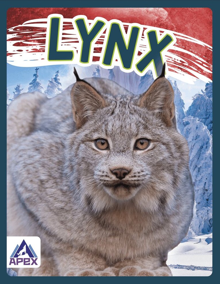 Sophie Geister-Jones - Lynx, Inbunden