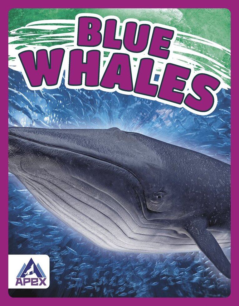 Katie Chanez - Blue Whales, Häftad