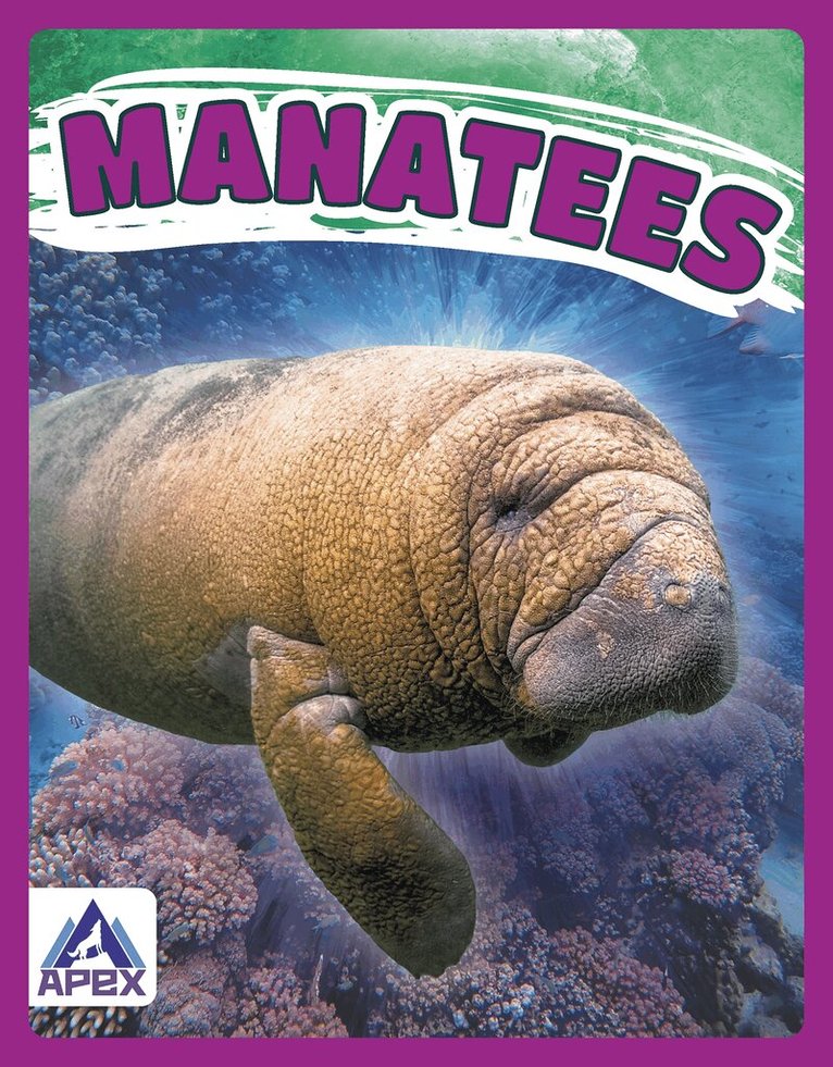 Katie Chanez - Manatees, Häftad