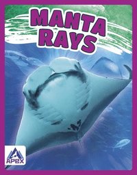 bokomslag Manta Rays