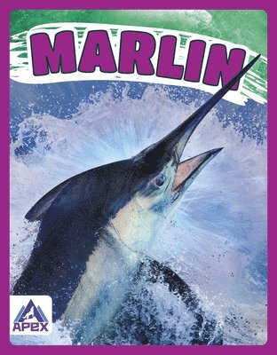 Katie Chanez - Marlin, Häftad