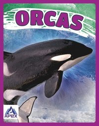 bokomslag Orcas