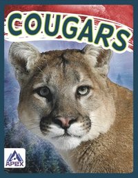 bokomslag Cougars