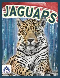 bokomslag Wild Cats: Jaguars