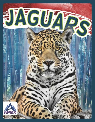 bokomslag Jaguars